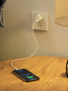 HOCO N10 Белый ЗУ с TYPE-C + кабель IOS Lighting (PD20W, 3000mA)