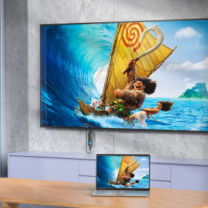 HOCO UA23 Черный Wi-Fi видео видеоадаптер 4К/30Гц (штекер HDMI - гнездо TYPE-C) 0.5м