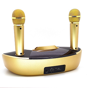 Орбита OT-ERM09 Золото Караоке система (2 микр, Bluetooth 5.0)
