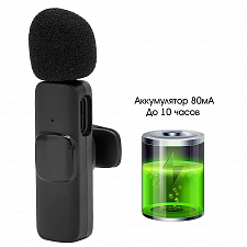 Микрофон беспроводной для смартфона Type-C Орбита OT-SML02