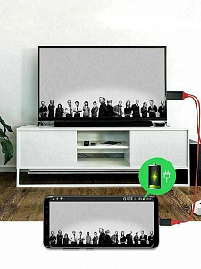 Орбита OT-AVW49 кабель (штекер HDMI - штекер TYPE-C) 2м