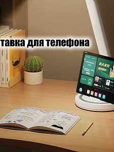 Лампа настольная для школьника с таймером Огонёк OG-LDP41A