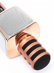 SDRD SD-17 Микрофон (Bluetooth, динамики, USB)