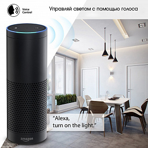 Умный выключатель с Алисой одноклавишный Wi-Fi 10A Орбита OT-HOS12