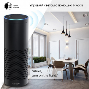 Умный выключатель с Алисой одноклавишный Wi-Fi 10A Орбита OT-HOS12