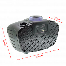 SDRD SD-314 Черная Караоке система (2 микр, Bluetooth 4.2)