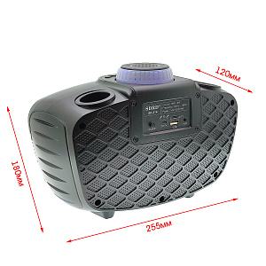 SDRD SD-314 Черная Караоке система (2 микр, Bluetooth 4.2)