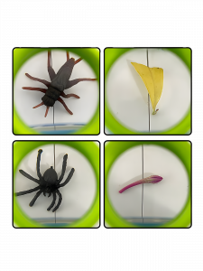 Банка для насекомых с лупой Орбита OT-INL78