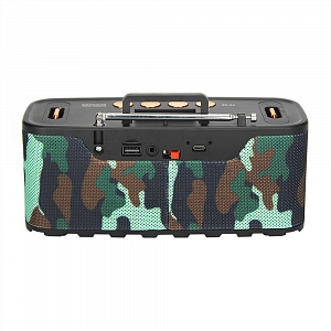 Fepe FP-88 радиоприёмник аккумуляторный (USB,TF,Bluetooth)