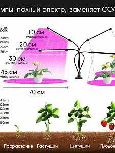 Фитолампа для растений с таймером на прищепке Огонек OG-LDP08