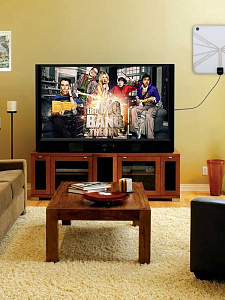 Антенна комнатная для цифрового ТВ прозрачная Орбита OT-ANT03