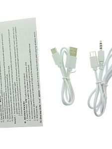 WSTER WS-898 Черный микрофон беспроводной (Bluetooth, динамики, USB)