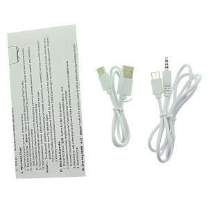 WSTER WS-898 Черный микрофон беспроводной (Bluetooth, динамики, USB)