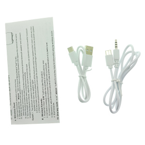 WSTER WS-898 Черный микрофон беспроводной (Bluetooth, динамики, USB)