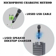 SDRD SD-128 Серая Караоке система (2 микр, Bluetooth 4.2) МЯТАЯ УПАКОВКА