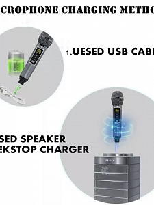 SDRD SD-128 Серая Караоке система (2 микр, Bluetooth 4.2) МЯТАЯ УПАКОВКА