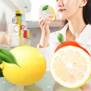 Поглотитель, нейтрализатор запаха для холодильника, авто, шкафа Огонек OG-HOG0