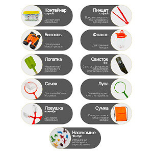 Набор для изучения насекомых юный натуралист Орбита OT-TRN01