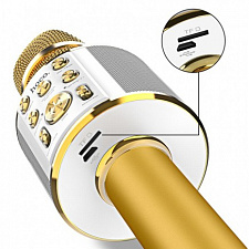 HOCO BK3 Золото Микрофон (Bluetooth, динамики, USB)