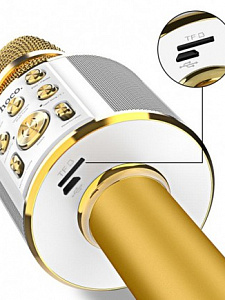 HOCO BK3 Золото Микрофон (Bluetooth, динамики, USB)
