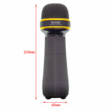 WSTER WS-898 Черный микрофон беспроводной (Bluetooth, динамики, USB)