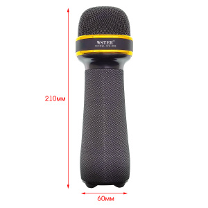 WSTER WS-898 Черный микрофон беспроводной (Bluetooth, динамики, USB)
