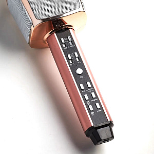 SDRD SD-17 Микрофон (Bluetooth, динамики, USB)