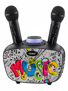 SDRD SD-314 Черная Караоке система (2 микр, Bluetooth 4.2)