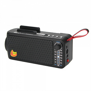 Fepe FP-263-S  радиоприёмник аккумуляторный (USB,TF,Bluetooth, солнч. панель)