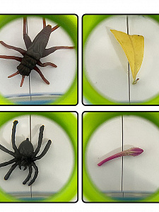 Банка для насекомых с лупой Орбита OT-INL78