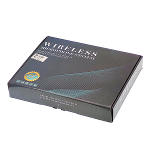 Орбита OT-ERM13 Набор беспроводных микрофонов (2шт,220В)