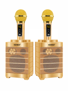 SDRD SD-128 Золото Караоке система (2 микр, Bluetooth 4.2) МЯТАЯ УПАКОВКА