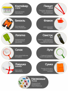 Набор для изучения насекомых юный натуралист Орбита OT-TRN01