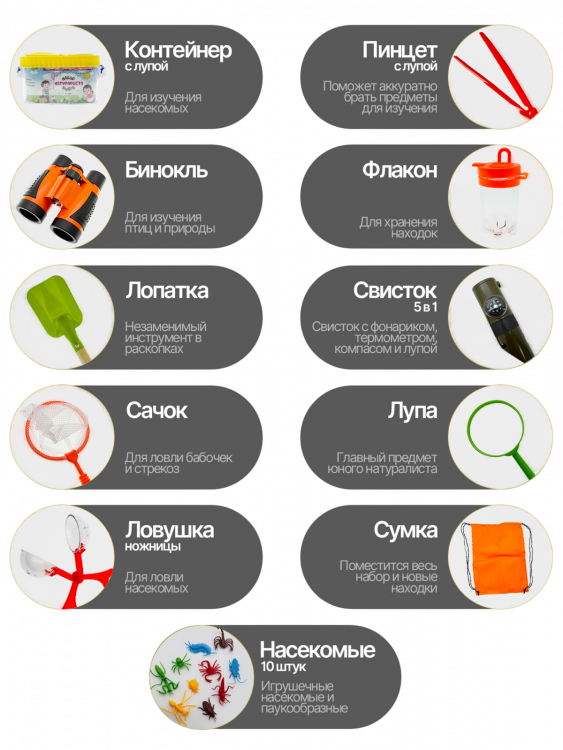 Набор для изучения насекомых юный натуралист Орбита OT-TRN01