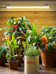 Фитолампа для растений с таймером накладная Огонек OG-LDP17