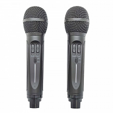 SDRD SD-314 Черная Караоке система (2 микр, Bluetooth 4.2)