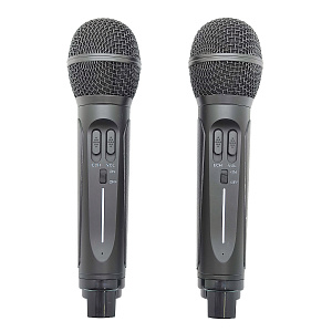 SDRD SD-314 Черная Караоке система (2 микр, Bluetooth 4.2)