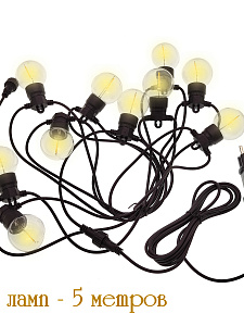 Гирлянда уличная светодиодная 10 лампочек 5м Огонёк OG-LDG24