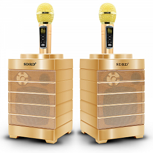 SDRD SD-128 Золото Караоке система (2 микр, Bluetooth 4.2) МЯТАЯ УПАКОВКА