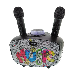 SDRD SD-314 Черная Караоке система (2 микр, Bluetooth 4.2)