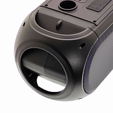 Орбита OT-ERM14 Черная караоке система с RGB подсветкой (2 микр, Bluetooth 5.0)