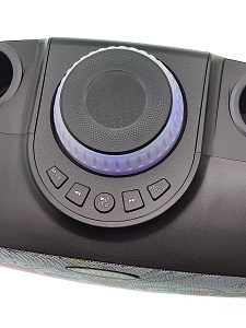 SDRD SD-314 Черная Караоке система (2 микр, Bluetooth 4.2)