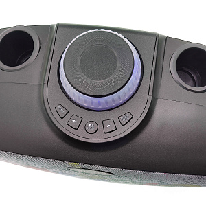 SDRD SD-314 Черная Караоке система (2 микр, Bluetooth 4.2)