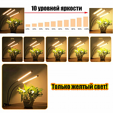 Фитолампа для рассады с таймером на прищепке Огонек OG-LDP20W