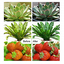 Фитолампа для растений с таймером на прищепке Огонек OG-LDP08