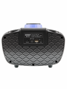 SDRD SD-314 Черная Караоке система (2 микр, Bluetooth 4.2)