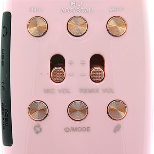 WSTER WS-2011 Розовый микрофон беспроводной (Bluetooth, динамики, USB)