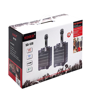 SDRD SD-128 Золото Караоке система (2 микр, Bluetooth 4.2) МЯТАЯ УПАКОВКА