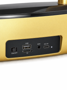 Орбита OT-ERM09 Золото Караоке система (2 микр, Bluetooth 5.0)