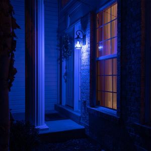 Орбита OT-HOS10 Умная лампочка (E27,9Вт, Wi-Fi)